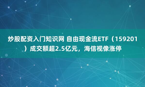 炒股配资入门知识网 自由现金流ETF（159201）成交额超2.5亿元，海信视像涨停