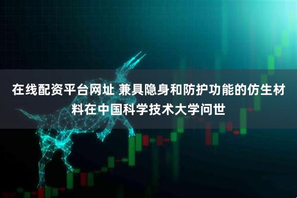 在线配资平台网址 兼具隐身和防护功能的仿生材料在中国科学技术大学问世