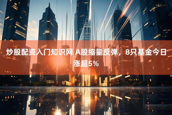炒股配资入门知识网 A股缩量反弹，8只基金今日涨超5%